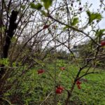 Купити квартиру Вінниця | Вдалий вибір